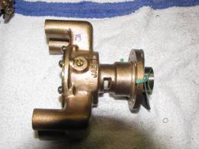 wp19